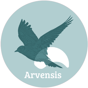 Carbon Offset Programs in Airlines — Fad or Future?