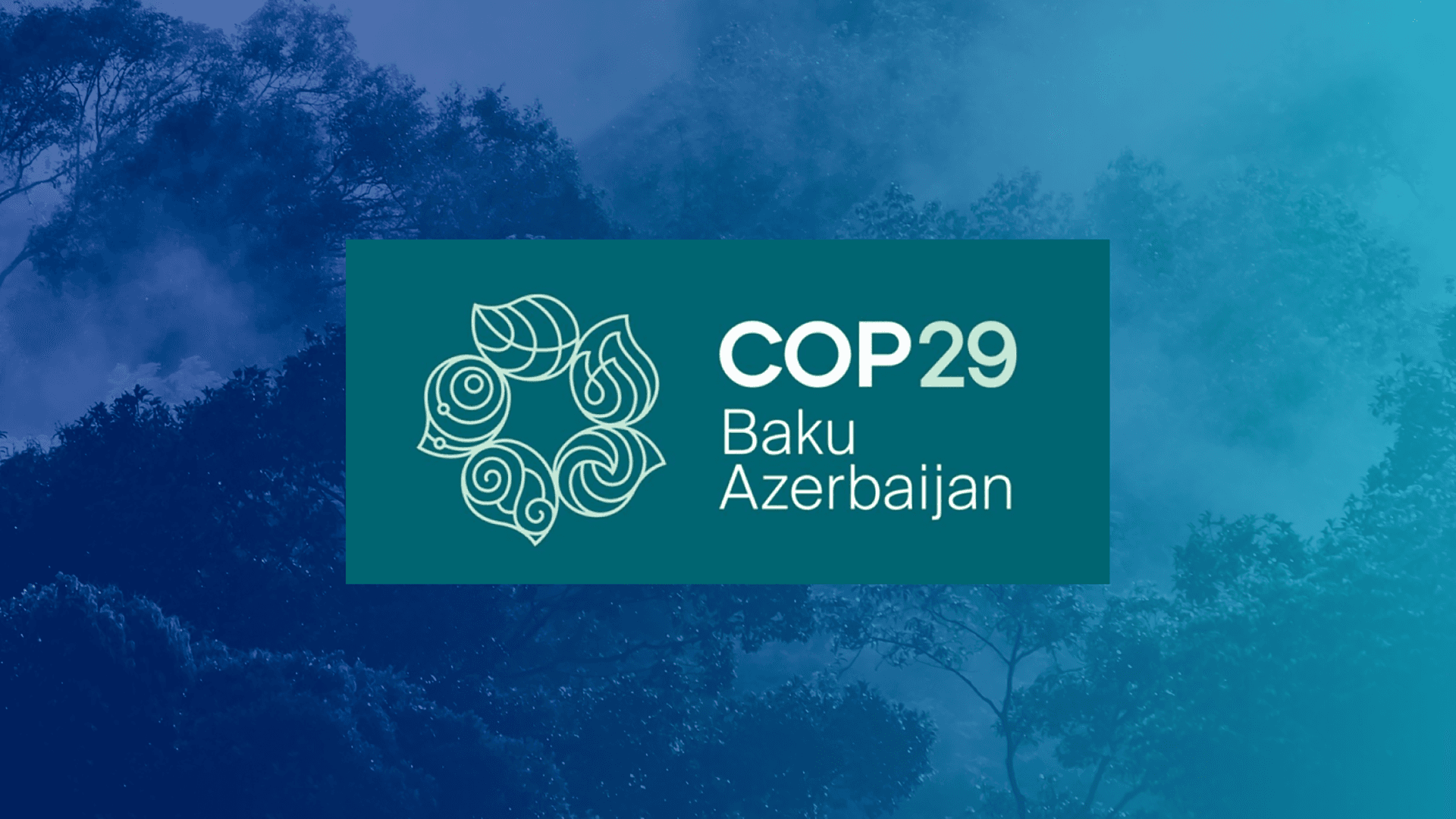 Xpansiv at COP 29: Enabling Climate Action through Market Infrastructure